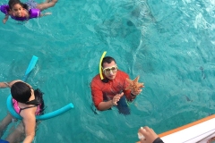 Octopus Aruba Snorkeling